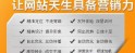 营销型网站建设方案