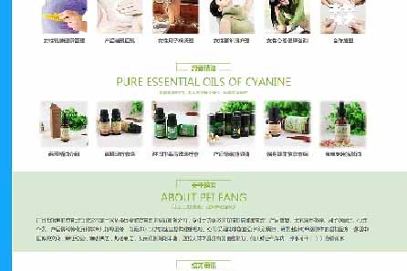 网站案例展示|广州市培芳健康管理有限公司