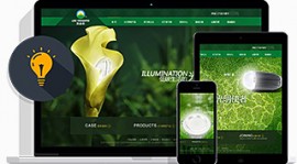 电子行业网站建设解决方案