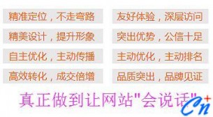 高端营销型网站建设的四大核心要素