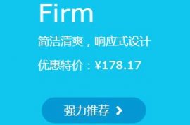 Firm主题