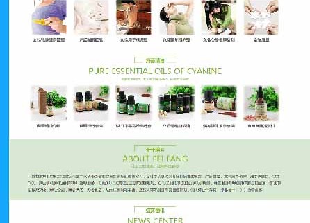 网站案例展示|广州市培芳健康管理有限公司