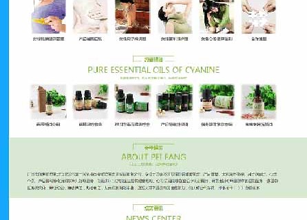 网站案例展示|广州市培芳健康管理有限公司