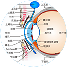 原理科学新颖